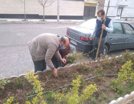 کاشت نهال و گل توسط مسئول محترم موسسه فرهنگی – آموزشی مدارس امام حسین علیه السلام شهرستان